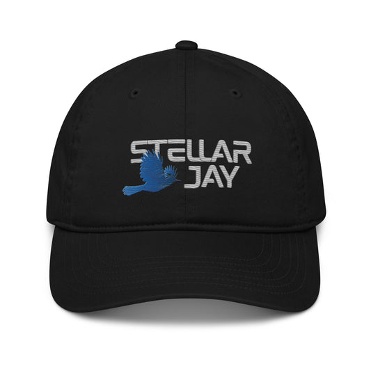 Stellar Jay Hat